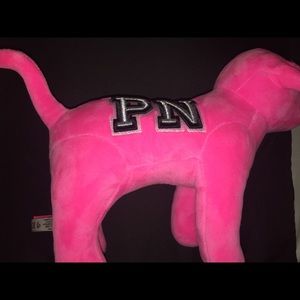 Pink Victoria’s secret Dog